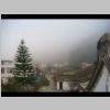 002-Cold misty morning.JPG